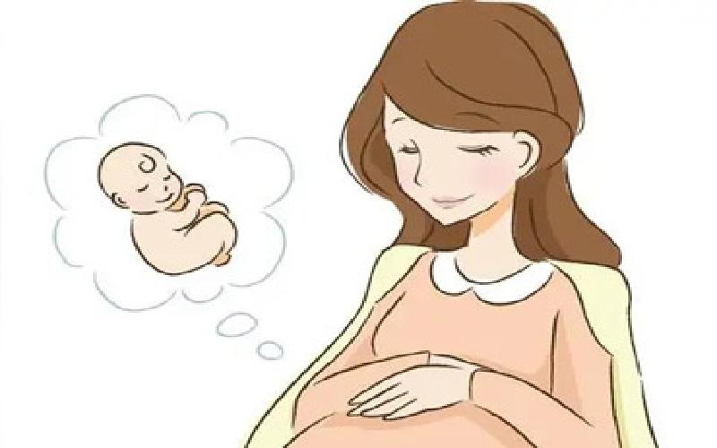 几代的试管最好代生